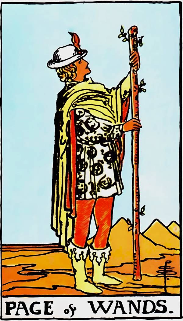 Page of Wands Tarot Card